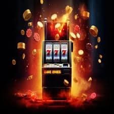 fb bet5