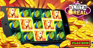 fb bet5
